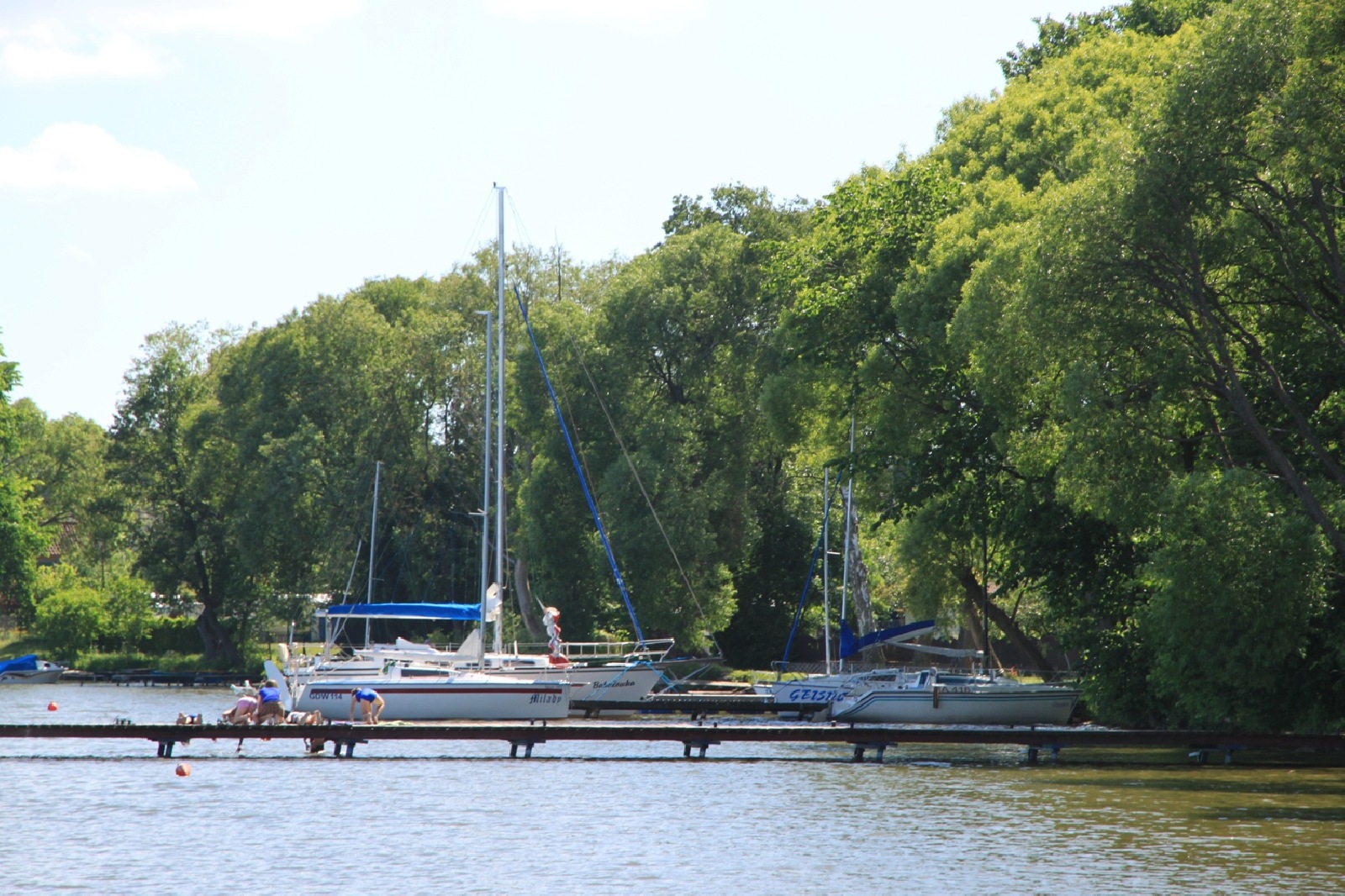 Wyspa Lipowy Ostrów